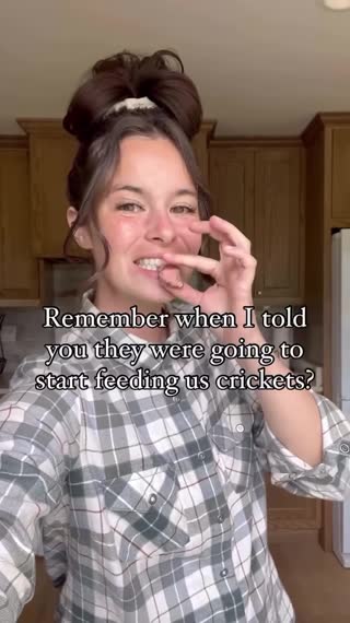 Video by gubbahomestead