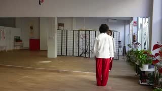 🔴TAICHI forma de 24 movimientos 📋Guía SENCILLA completa explicada